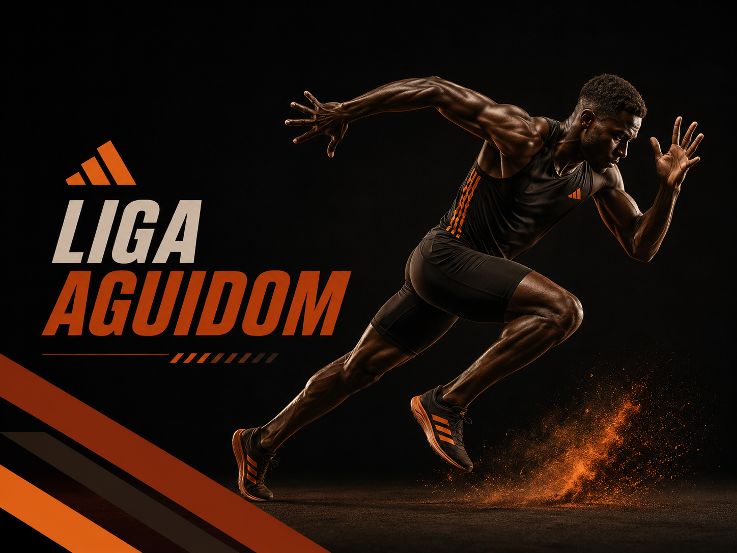 Liga Aguidom Banner